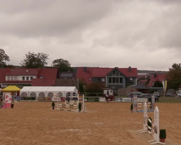 Reitturnier Dingelstädt 2020