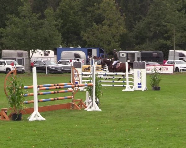 Reitturnier Kellinghusen 2020