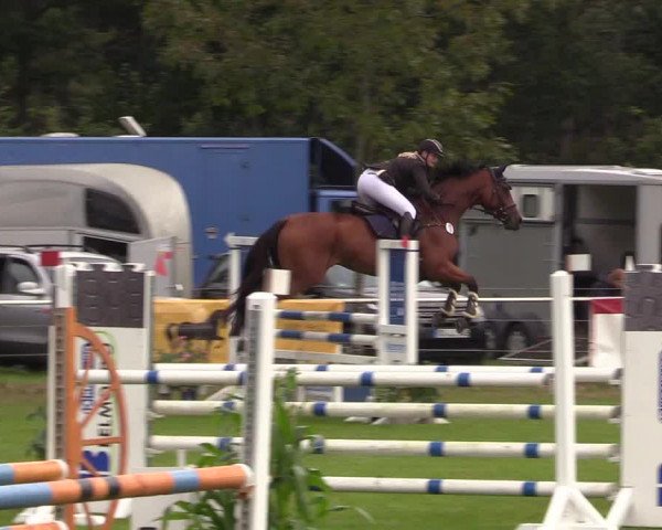 Reitturnier Kellinghusen 2020