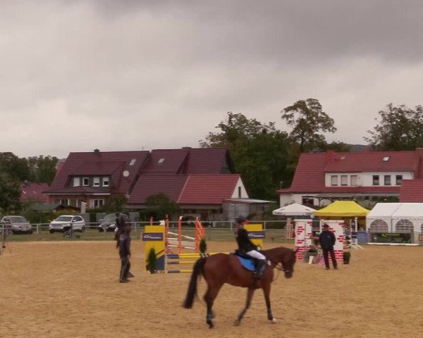 Reitturnier Dingelstädt 2020