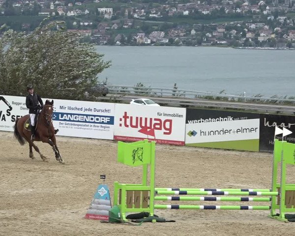 Reitturnier Wädenswil 2020