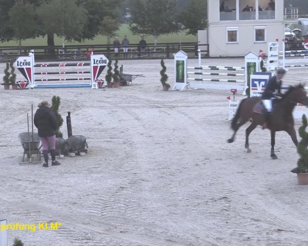 Reitturnier Kirchhellen/Stall Dieckmann 2020