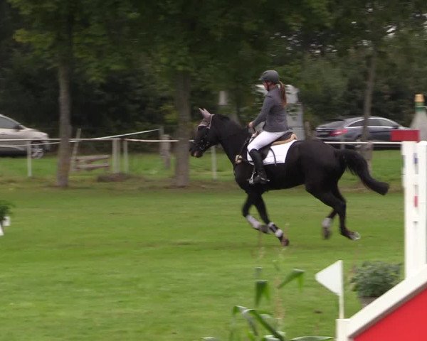 Reitturnier Kellinghusen 2020