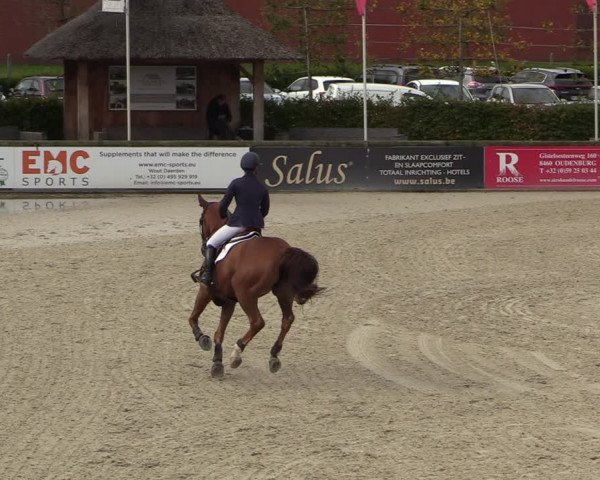 FEI Reitturnier Lier (BEL) 2020