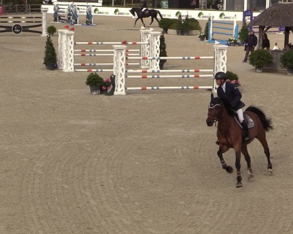 FEI Reitturnier Lier (BEL) 2020