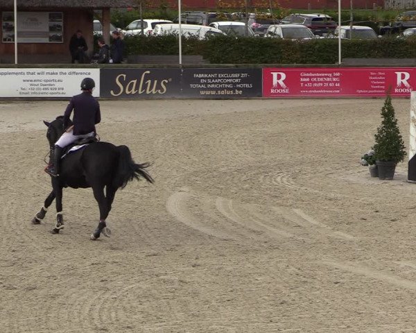 FEI Reitturnier Lier (BEL) 2020