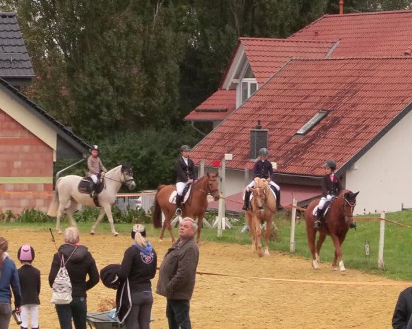 Reitturnier Dingelstädt 2020