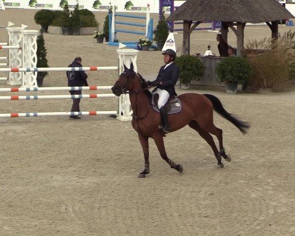 FEI Reitturnier Lier (BEL) 2020