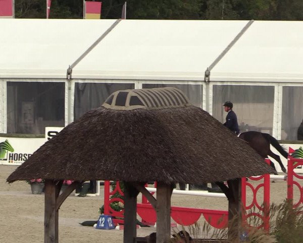 FEI Reitturnier Lier (BEL) 2020