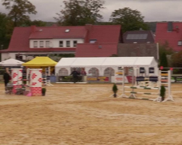 Reitturnier Dingelstädt 2020