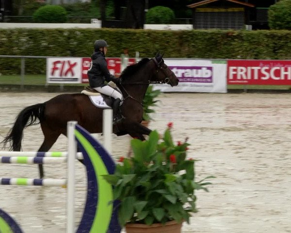 Reitturnier Schutterwald 2020