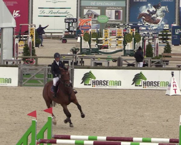 FEI Reitturnier Lier (BEL) 2020