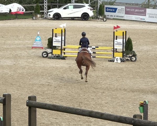Reitturnier Wädenswil 2020