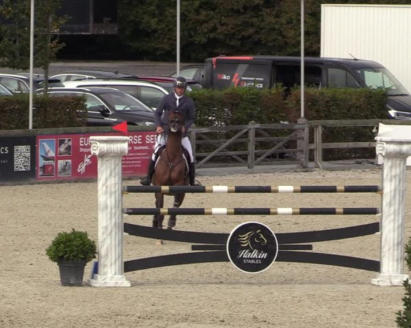 FEI Reitturnier Lier (BEL) 2020