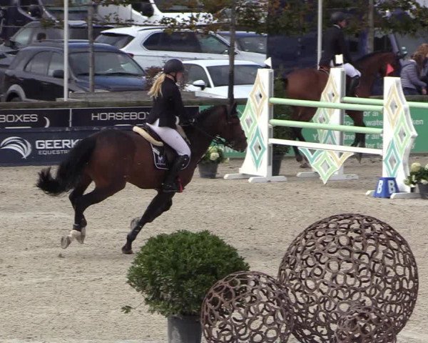FEI Reitturnier Lier (BEL) 2020