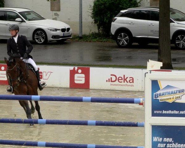 Reitturnier Schutterwald 2020