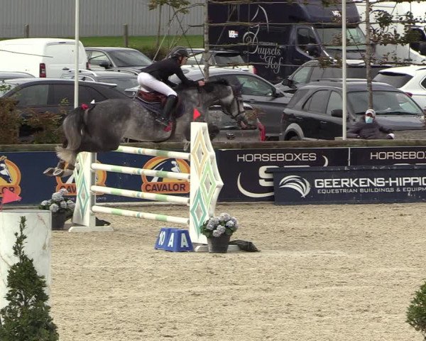 FEI Reitturnier Lier (BEL) 2020