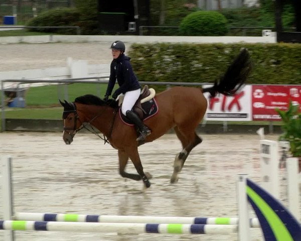 Reitturnier Schutterwald 2020