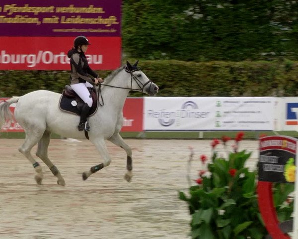 Reitturnier Schutterwald 2020