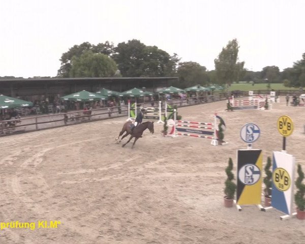 Reitturnier Kirchhellen/Stall Dieckmann 2020
