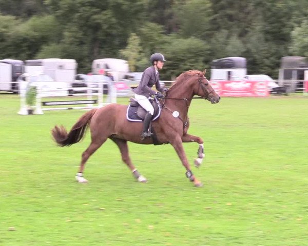 Reitturnier Kellinghusen 2020