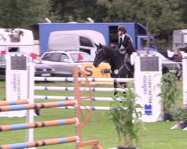 Reitturnier Kellinghusen 2020