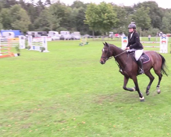 Reitturnier Kellinghusen 2020