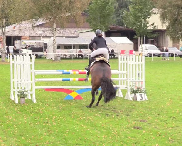 Reitturnier Kellinghusen 2020