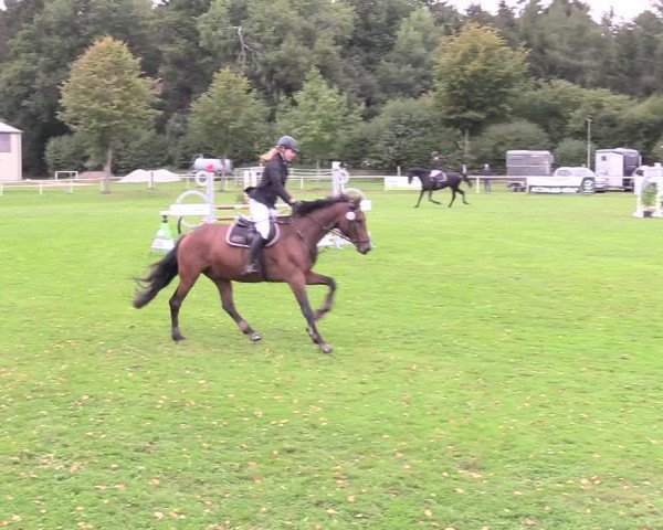 Reitturnier Kellinghusen 2020