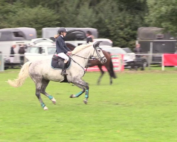 Reitturnier Kellinghusen 2020