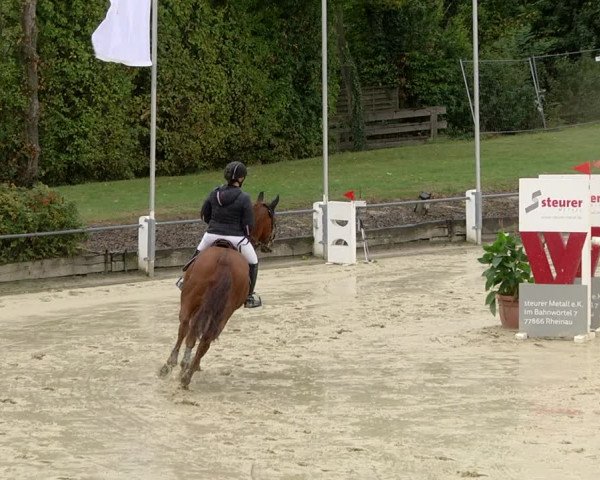 Reitturnier Schutterwald 2020