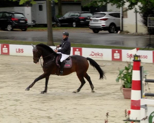 Reitturnier Schutterwald 2020