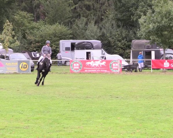 Reitturnier Kellinghusen 2020