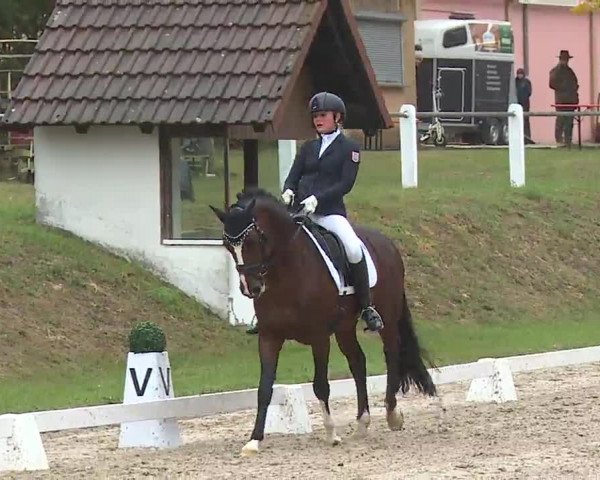 Reitturnier Remlingen/Ufr. 2020