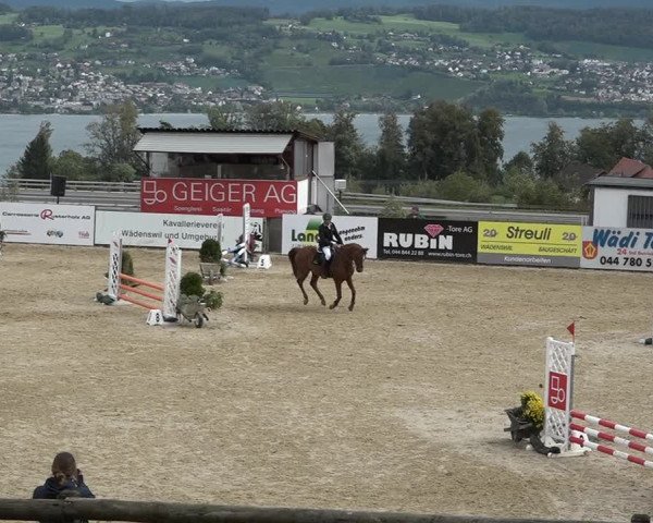 Reitturnier Wädenswil 2020