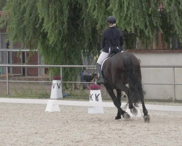 Reitturnier Achern 2020
