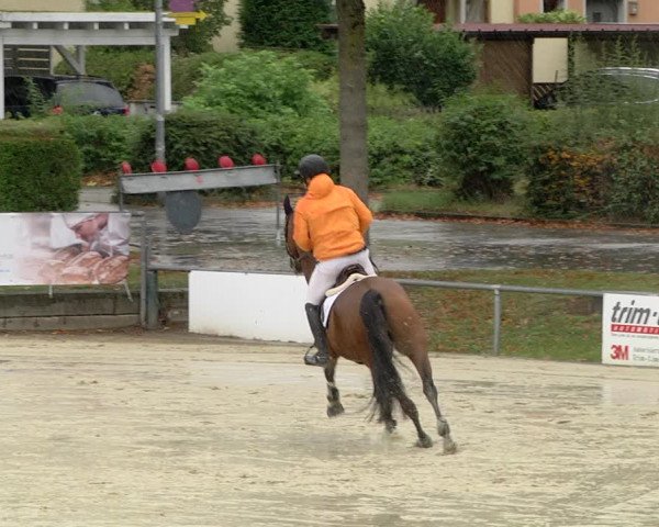 Reitturnier Schutterwald 2020