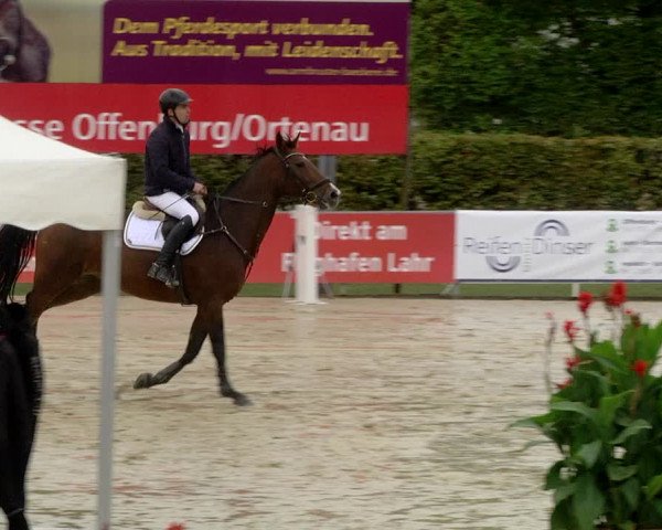 Reitturnier Schutterwald 2020