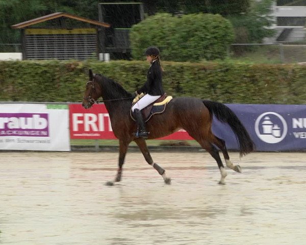 Reitturnier Schutterwald 2020