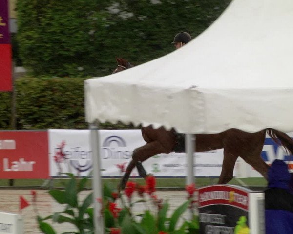 Reitturnier Schutterwald 2020