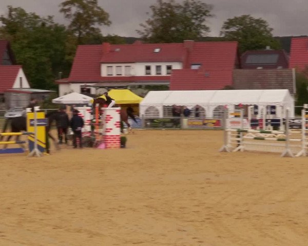 Reitturnier Dingelstädt 2020