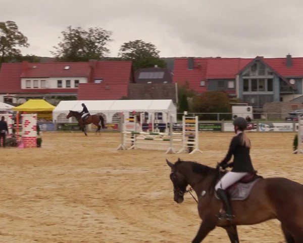 Reitturnier Dingelstädt 2020