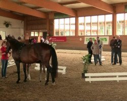 horse Troja (Westphalian, 2014, from Sir Heinrich OLD)
