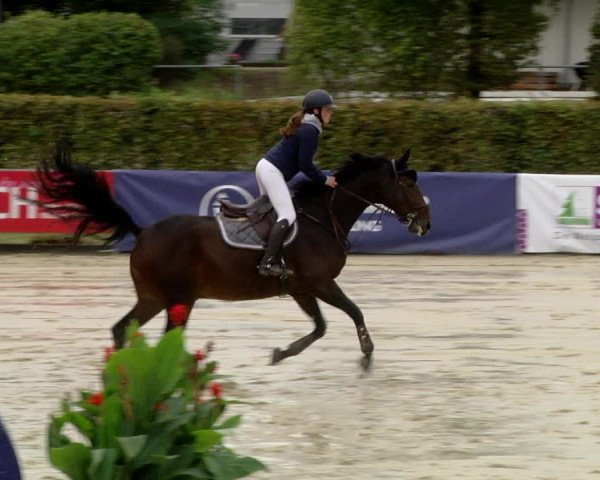 Reitturnier Schutterwald 2020