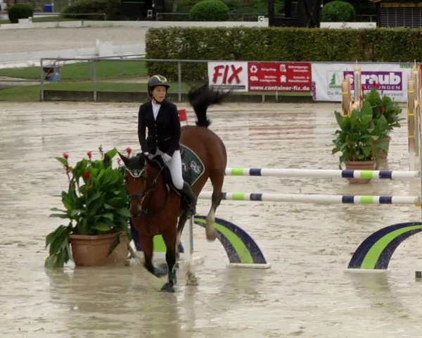 Reitturnier Schutterwald 2020