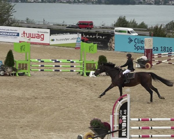 Reitturnier Wädenswil 2020