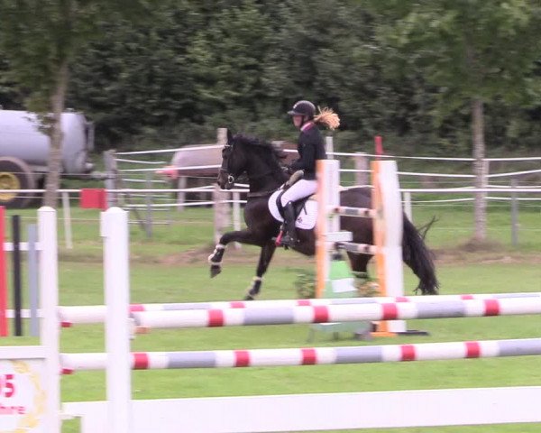 Reitturnier Kellinghusen 2020