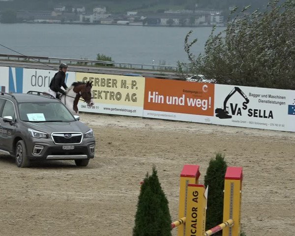 Reitturnier Wädenswil 2020