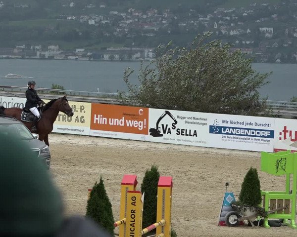 Reitturnier Wädenswil 2020
