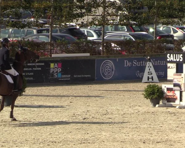 FEI Reitturnier Lier (BEL) 2020